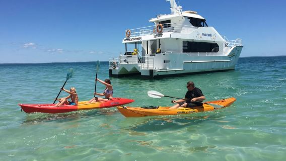 From Hervey Bay: Half-Day K'gari Fraser Island Beach Cruise