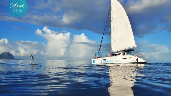 Ile aux Benitiers:共享全日雙體船巡遊和午餐