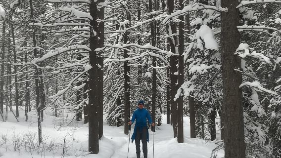 Lake Louise: Cross Country Skiing Lesson with Tour