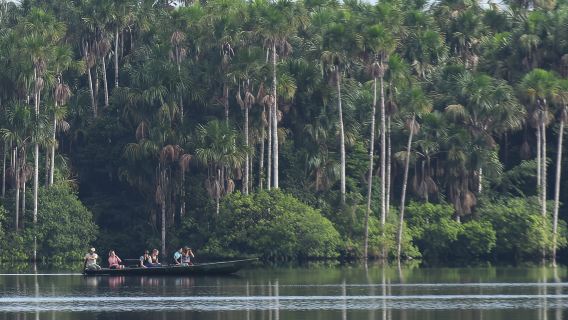 Puerto Maldonado: escursione di un giorno al lago Sandoval con canoa