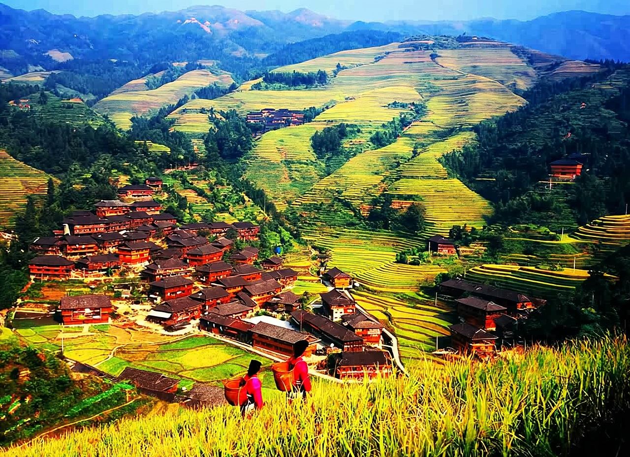 ห้ามพลาดชมเมืองกุ้ยหลิน: ทัวร์นาขั้นบันไดหลงจี๋แบบไปเช้าเย็นกลับด้วยรถยนต์ธุรกิจ (รวมตั๋ว)