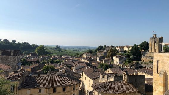 Da Bordeaux: tour enologico di mezza giornata a Saint-Emilion