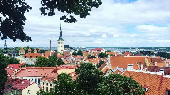 From Helsinki: Tallinn with Round-Trip Ferry & Guided Tour
