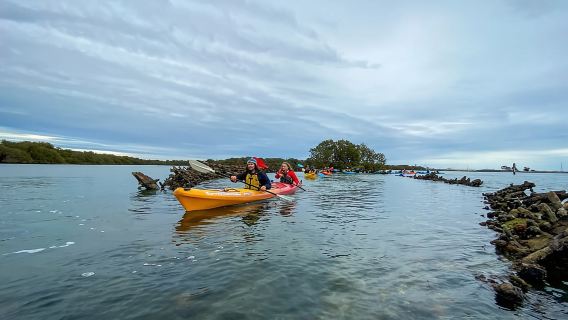 Recorrido en kayak por el Santuario de Delfines y el Cementerio de Barcos