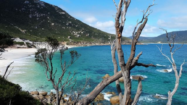 Wilsons Promontory Hiking Day Tour - 8 Person Max Small Group