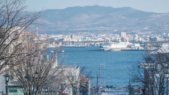 日本登別洞爺湖+伊達時代村【中文司機/可訂多日】