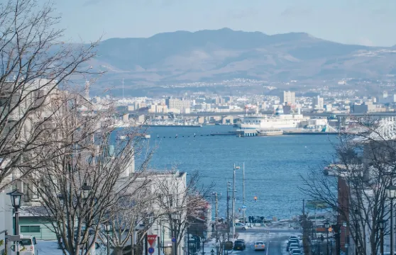 日本登別洞爺湖+伊達時代村【中文司機/可訂多日】