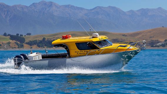 Kaikoura Deep Sea Fishing with Captain Ian in New Zealand's South Island [Local experienced captain leads fishing trips, catch giant crayfish]