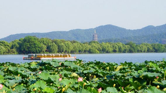 Van perniagaan|Pemandu pelancong berbahasa Inggeris|Bermula dari Shanghai Hangzhou Tasik Barat + Pagoda Leifeng + Jalan Hefang 1 hari