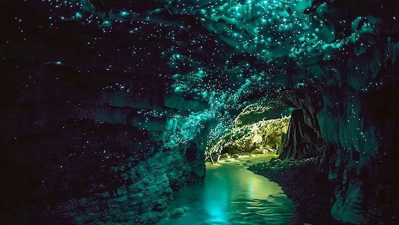 【ニュージーランド・オークランド】ホビット村映画セット&ワイトモ混載ツアー【入場チケット&ランチ付き】