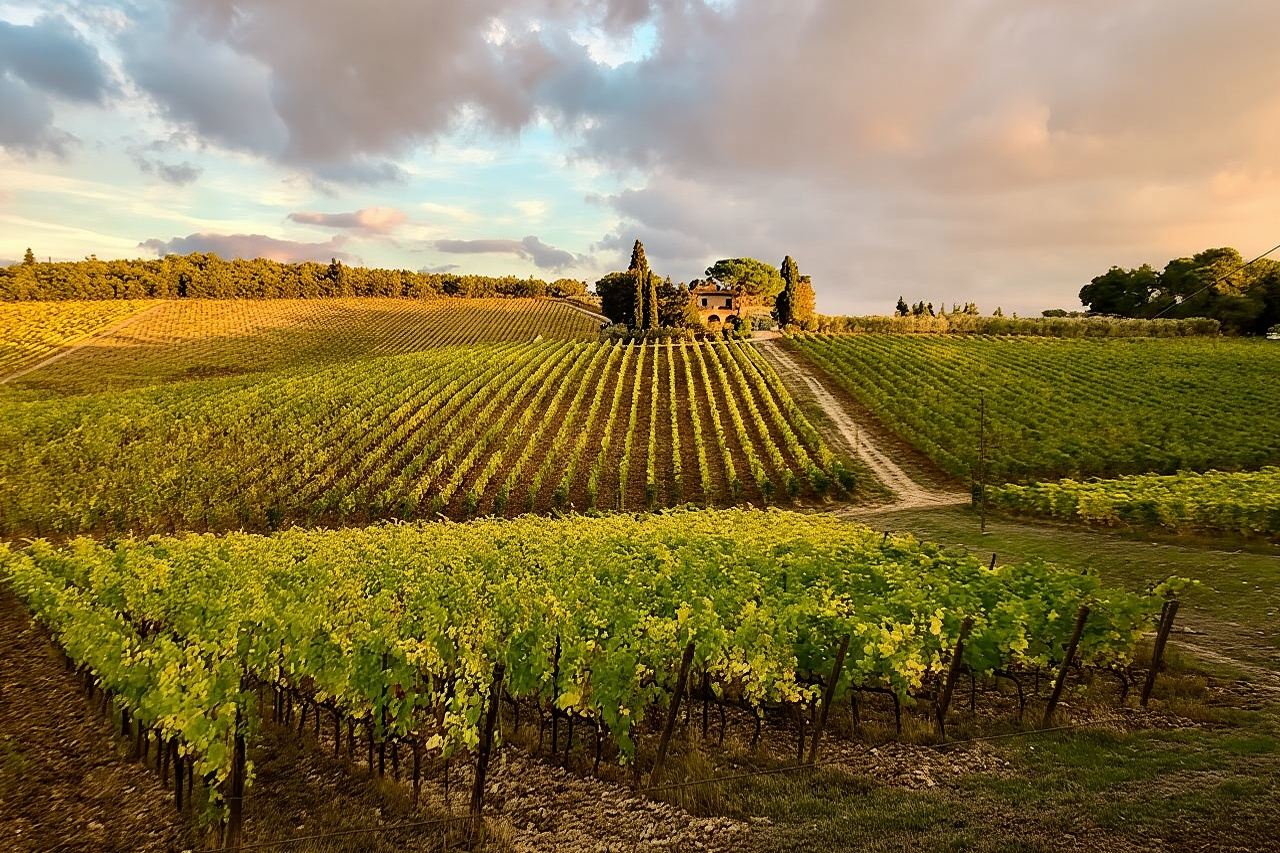 Casa Emma Wine Tasting 