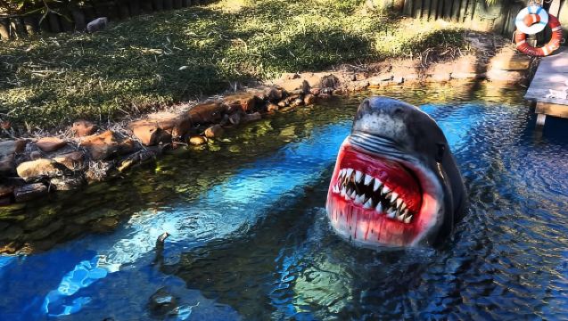 Houston Tour and Aquarium Ticket