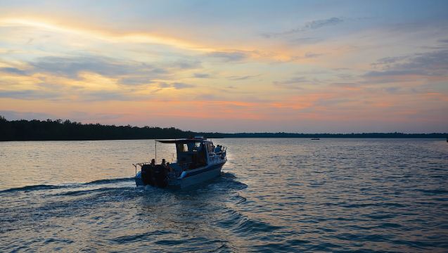 Shared Mangrove & Irrawaddy Dolphin Watching Cruise