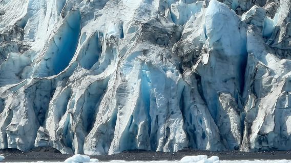 Anchorage: Tour alla Scoperta di Ghiacciai e Fauna Selvatica (7 ore)