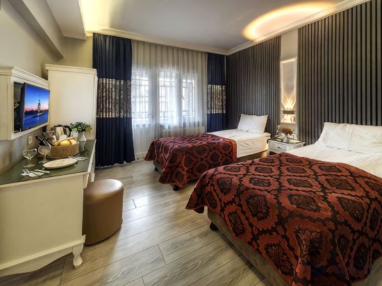 Beyazit Palace Hotel Room Type - Standard Twin Room