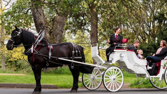 Pengalaman Kereta Kuda Taman Beacon Hill di Victoria