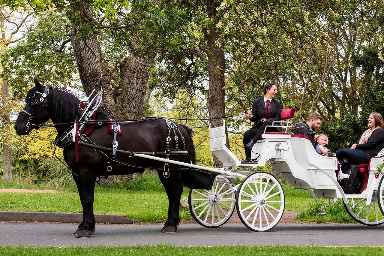 Beacon Hill Park Horse-Drawn Carriage Experience in Victoria