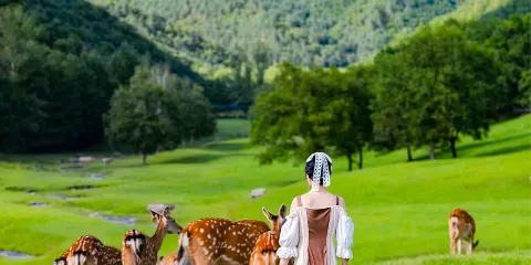 【2人起訂拼團-包車-多種車型】金山鹿苑+九峰山養心谷一日遊