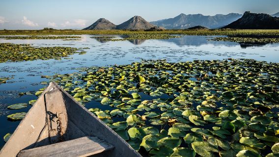Excursion d'une journée au Monténégro : mont Lovcen, Cetinje, lac Skadar et île Sveti Stefan