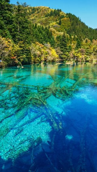 Jiuzhaigou Private Tour by High-speed Train from Chengdu