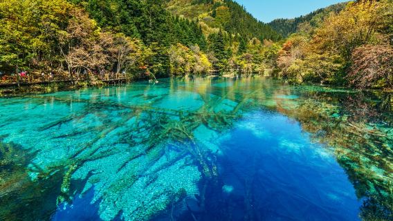 Jiuzhaigou Private Tour by High-speed Train from Chengdu