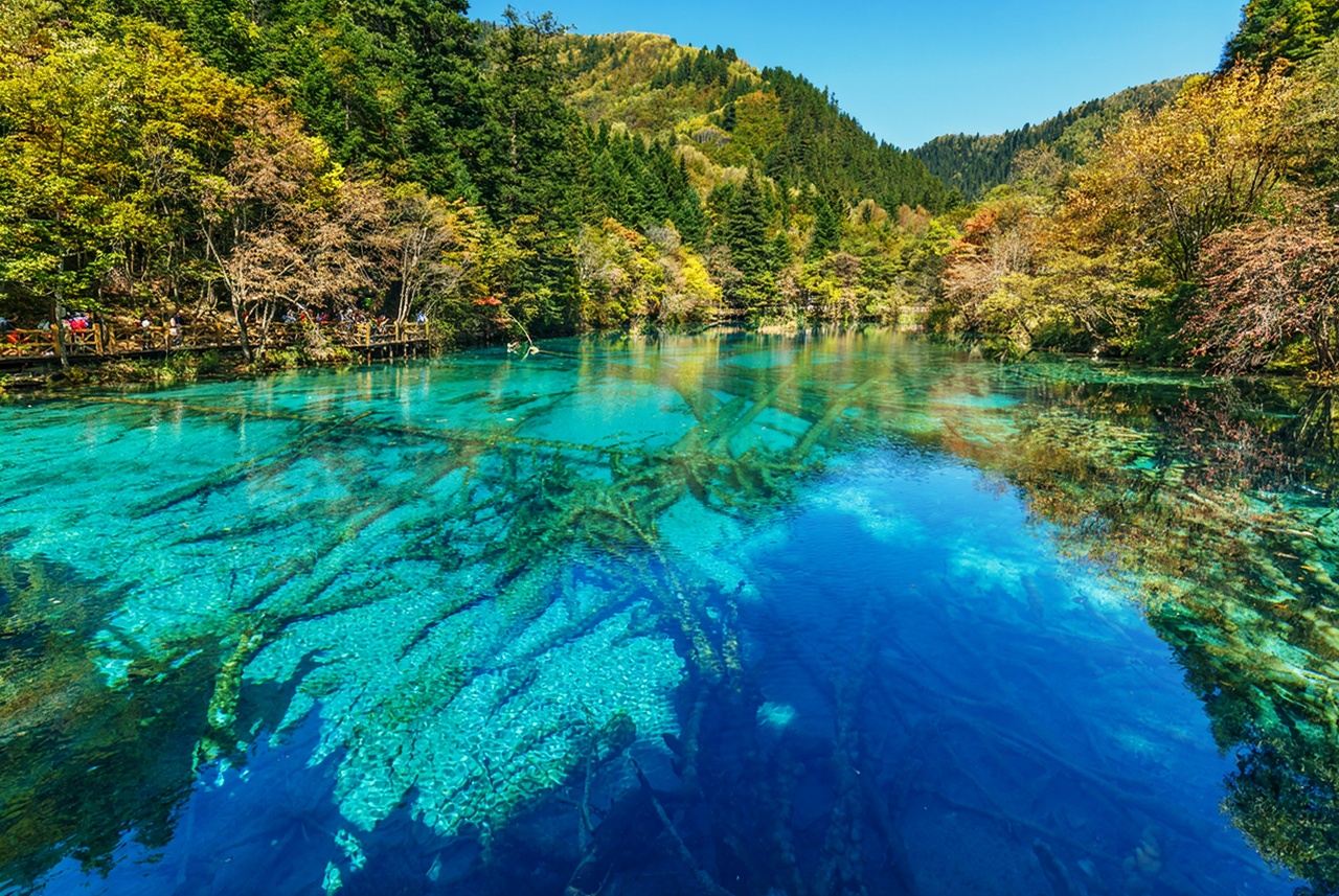 Tur Privat Jiuzhaigou dengan Kereta Api Cepat dari Chengdu