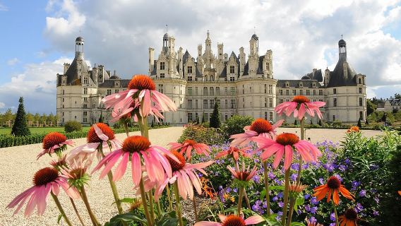 Day Tour of Chateaux of Chenonceau, Chambord & Caves Ambacia from Tours/Amboise