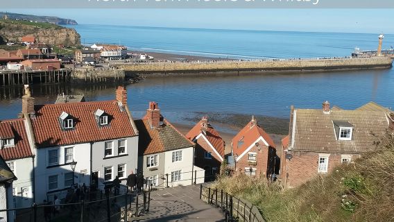 North York Moors and Whitby Day Tour from York