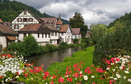 從法蘭克福出發的巴登巴登、黑森林和斯特拉斯堡一日遊