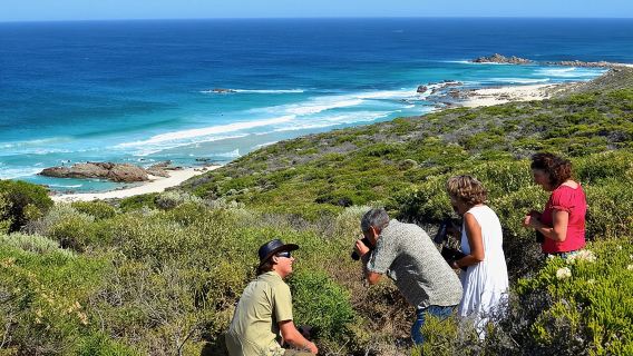 ทริปเชิงนิเวศชายฝั่งและสัตว์ป่า Margaret River จาก Busselton หรือ Dunsborough