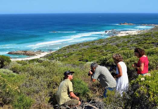 Margaret River Coastal and Wildlife Eco Trip from Busselton or Dunsborough AUD 149.56 Margaret River Coastal and Wildlife Eco Trip from Busselton or Dunsborough AUD 149.56