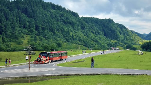 重慶仙女山國家森林公園+武隆天生三橋+烏江畫廊一日遊丨純玩