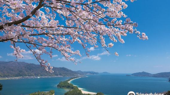 MiyazuTours