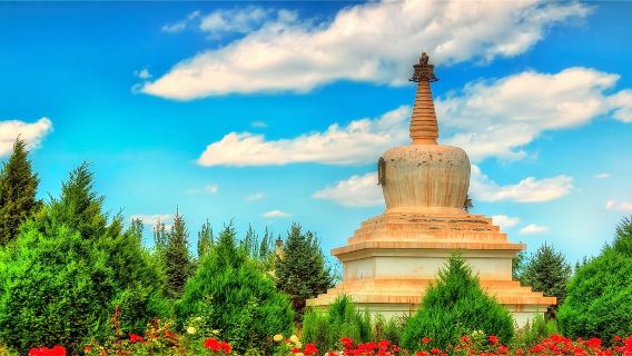 【小白龍優品】天梯山+白塔寺+文廟+雷台漢墓一日遊
