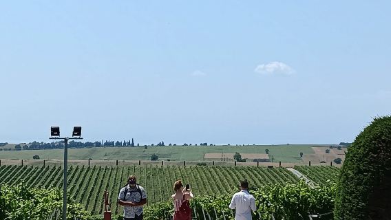 Thessaloniki Wine Journey to an Iconic Winery (Cruise Friendly)