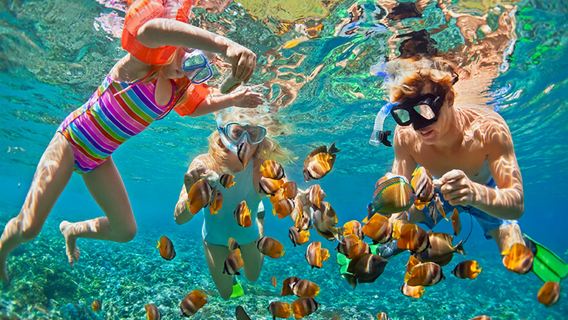 Perjalanan Snorkeling 3 Pulau Lembongan: Bertemu di Jeti Pulau Lembongan/Pilihan Hotel Pilihan + Menyelam Ikan Pari