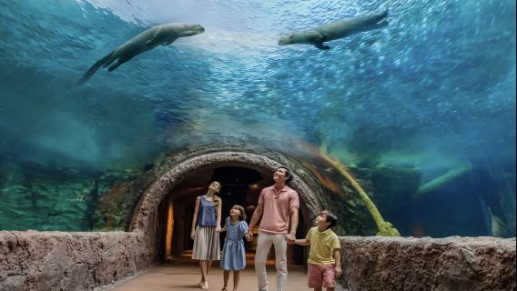 新加坡動物園+魚尾獅公園+濱海灣花園/中文專車-玩轉新加坡