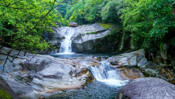 婺源大障山臥龍谷半日遊精品小團【可選早上班/下午班避暑勝地】