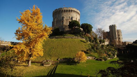 WindsorTours