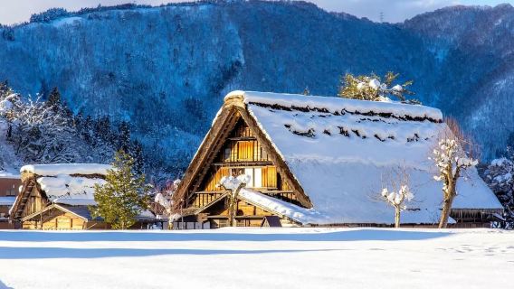 Excursion d'une journée à Nagoya, Villages historiques de Shirakawa-gō et Gokayama, Hida Takayama et sur les traces de "Your Name"