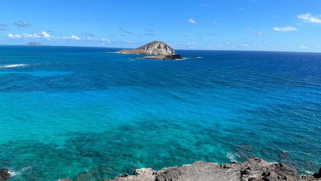 Esperienza nell'Isola di Oahu con la North Shore (Tour Organizzati in Piccoli Gruppi)