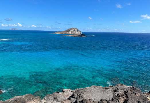 Oahu Island Experience feat the North Shore (Small Group Tour)