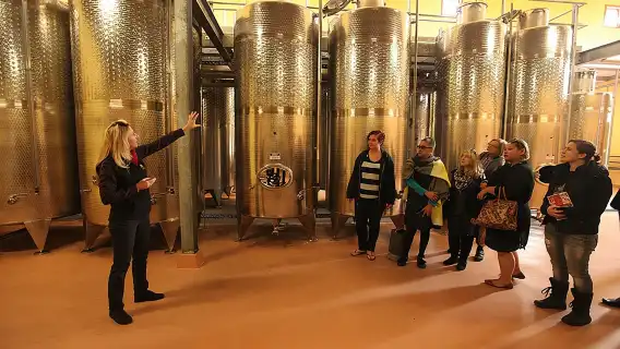 Award-Winning Hunter Valley Wine & Cheese Tour from Sydney