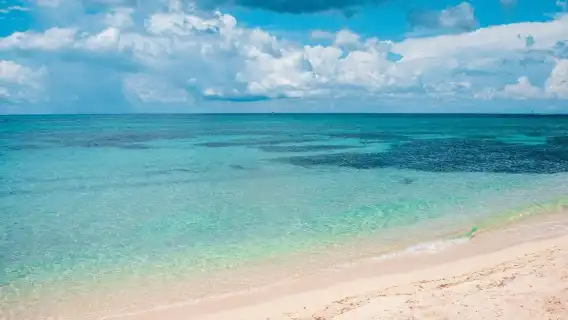 Palancar Reef & El Cielo Bay: Snorkeling Tour from Cozumel + Buffet Lunch