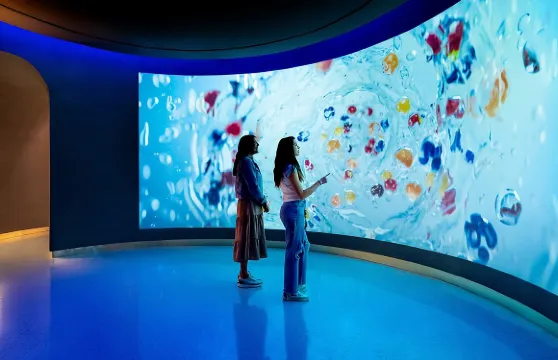 可口可樂世界普通門票