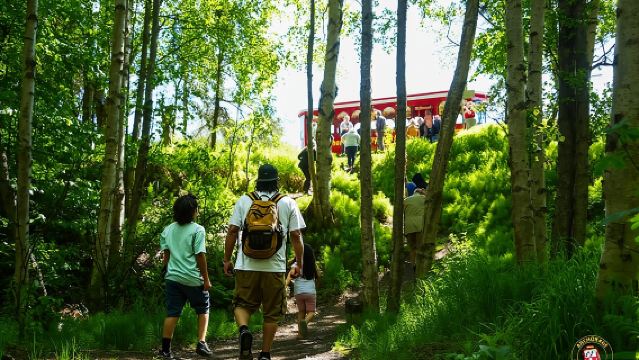 安克雷奇豪華城市觀光電車之旅