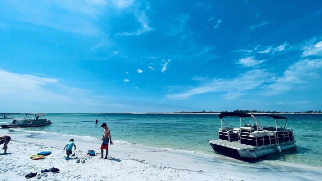 2 Hour Private Dolphin and Sightseeing Tour Shell Island