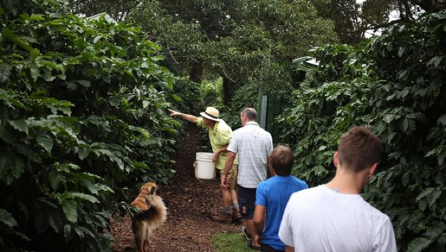 Kleine, praktische Kaffeetour