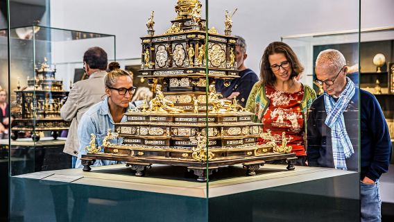 Biglietto d'ingresso generale al Castello di Dresda