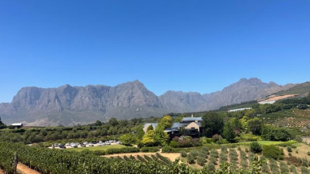 Cape Town: Cape Winelands Tour with Wine Tasting